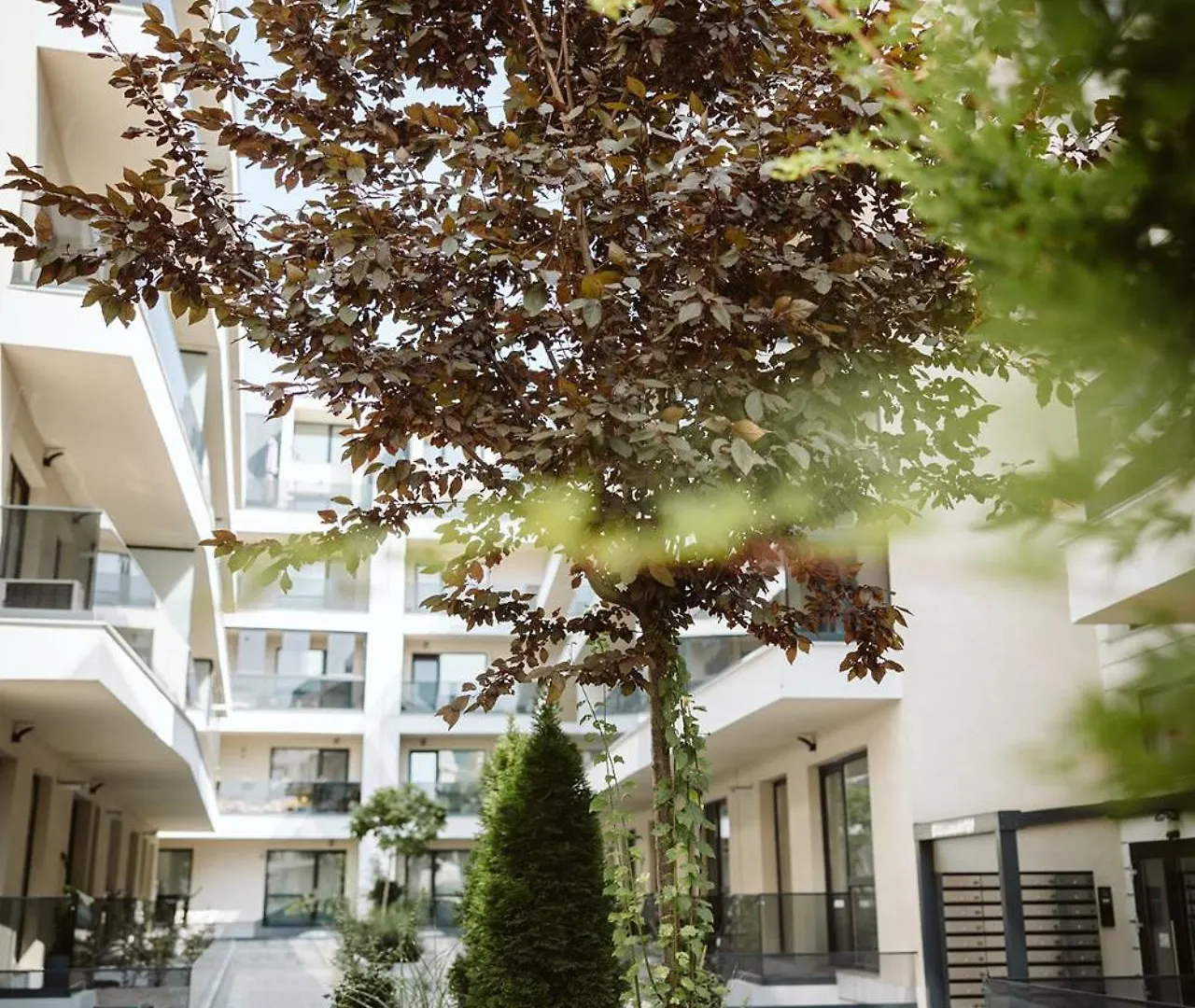 Dec Apartments Bucarest Roumanie